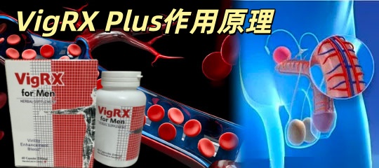 20250914100551_副本.jpg