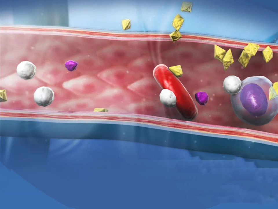 1790337980932131.png Hormone-Circulation-Clip-Cover.png